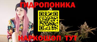 дмт Бердск