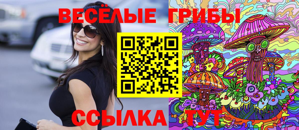 Псилоцибиновые грибы мухоморы Бердск