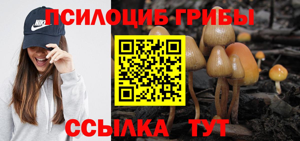 продажа наркотиков  Вход с VPN  Бердск  Псилоцибиновые грибы ЛСД 